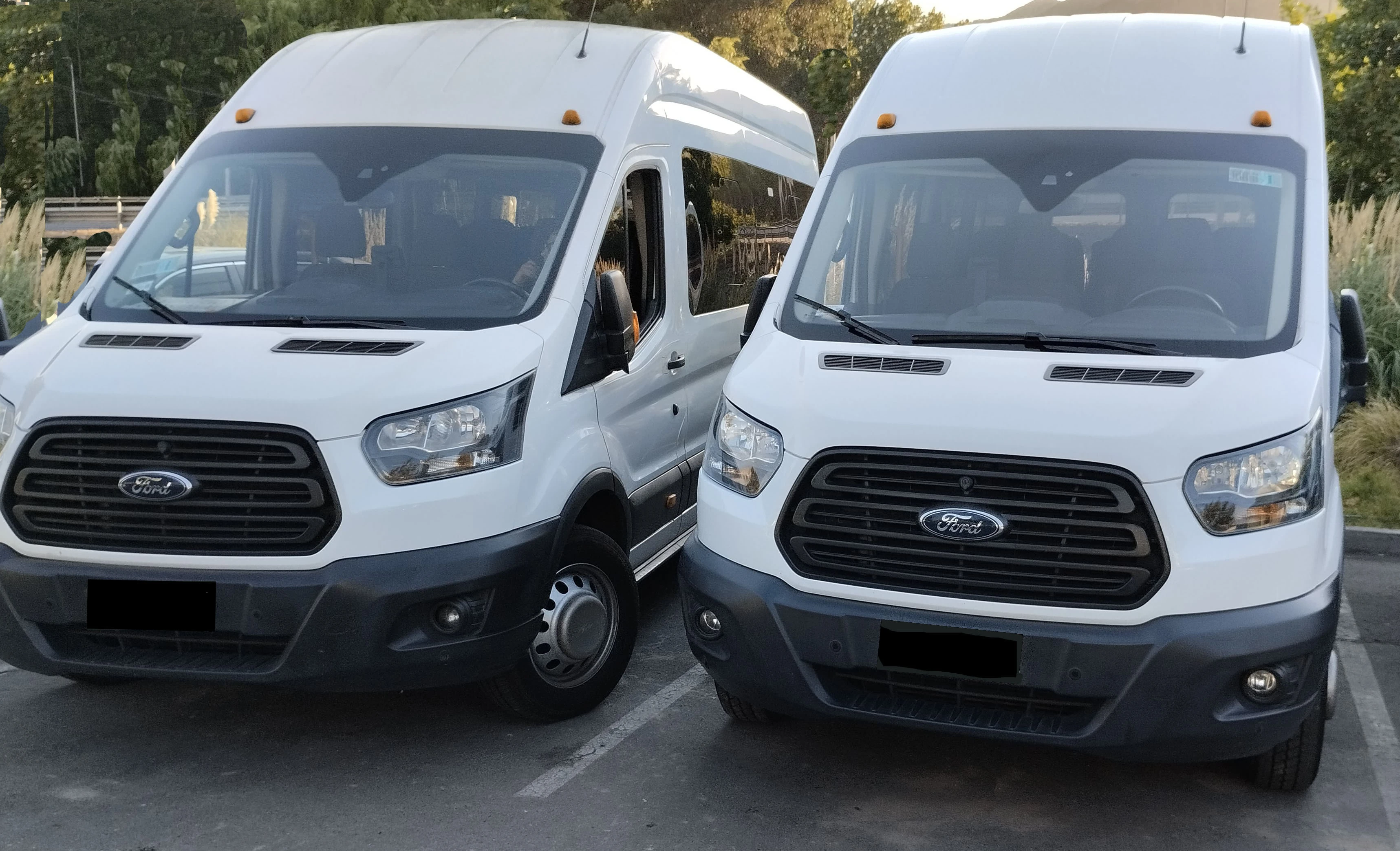Flota de vans Ford Transit de Easytour para viajes especiales