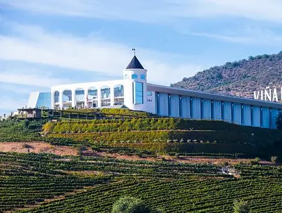 Viña Indomita en el valle de Casablanca